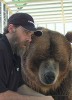 photo Brody the Bear